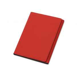 Обложка на магнитах для автодокументов и паспорта Favor, 113601, Цвет: серый,красный