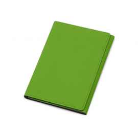 Обложка на магнитах для автодокументов и паспорта Favor, 113613, Цвет: зеленое яблоко,серый