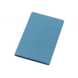 Обложка для паспорта Favor, 113332, Цвет: голубой