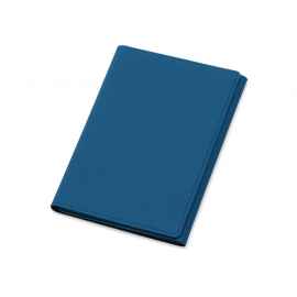 Обложка на магнитах для автодокументов и паспорта Favor, 113602, Цвет: синий
