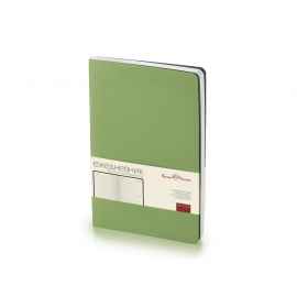 Ежедневник недатированный B5 Megapolis Flex, 3-650.05, Цвет: зеленый