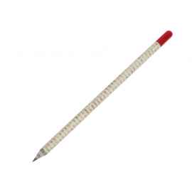 Растущий карандаш с семенами гвоздики, 220261, Цвет: красный,белый,светло-серый
