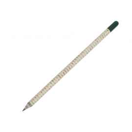 Растущий карандаш с семенами базилика, 220250, Цвет: зеленый,белый,светло-серый