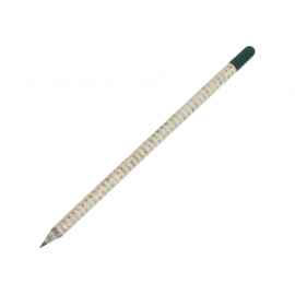 Растущий карандаш с семенами мяты, 220251, Цвет: белый,светло-серый,зеленый
