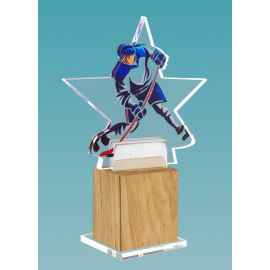 Акриловая награда на деревянной подставке Хоккей, 5х17х5