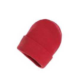 Шапка Impact из Polylana® AWARE™ с отворотом, Красный, Цвет: сочный красный,, Размер: , высота 21 см., диаметр 23,5 см.