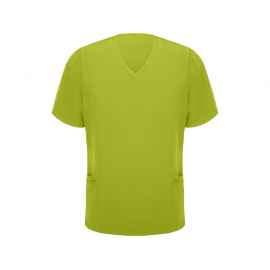 Рубашка Ferox, мужская, S, 9085CA28S, Цвет: фисташковый, Размер: S