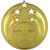 3591-050 Медаль Зилим, золото, Цвет: Золото, изображение 2