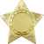 3637-060 Медаль Шамокша, золото, Цвет: Золото, изображение 2