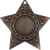 3637-060 Медаль Шамокша, бронза, Цвет: Бронза, изображение 2