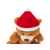 Плюшевый медведь Santa, 539808, изображение 5