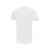Футболка спортивная Verona мужская, XS, 3152601XS, Цвет: белый, Размер: XS, изображение 6