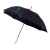 Зонт-трость Alina, 10940001, Цвет: черный, изображение 6