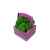 Композиция Корзинка со мхом, 4500606, Цвет: зеленый,фиолетовый, изображение 4