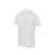 Рубашка поло Chicago мужская, S, 3103701S, Цвет: белый, Размер: S, изображение 6