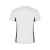 Спортивная футболка Shanghai мужская, S, 65950146S, Цвет: белый,графит, Размер: S, изображение 2