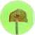 Леденец Lollifruit, зеленый с киви, Цвет: зеленый, изображение 3