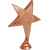 0546-300 Фигура Звезда, бронза, Цвет: Бронза, изображение 2