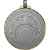 3409 Медаль Воль, серебро, Цвет: серебро, изображение 2