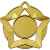 3586-060 Медаль Звезда, золото, Цвет: Золото, изображение 2