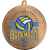 3614-104 Медаль Волейбол с УФ печатью, бронза, Цвет: Бронза, изображение 2