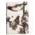 Зажигалка ZIPPO Spazuk Design с покрытием 540 Matte, латунь/сталь, разноцветная, 38x13x57 мм, изображение 2