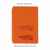 Ежедневник недатированный 'Альба', формат А5, гибкая обложка, оранжевый, Цвет: оранжевый, изображение 7