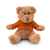 Медведь плюшевый в футболке, оранжевый, Цвет: оранжевый, Размер: 13x15 см