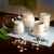 Чайная пара 'Прованс' в подарочной упаковке,200 мл,фарфор, Цвет: белый, изображение 3