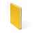Ежедневник недатированный Campbell, А5, желтый, белый блок, Цвет: желтый, изображение 9