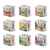 Подарочный набор Сугревъ в деревянной коробке без лого, коллекция из 9 чаёв, Цвет: бежевый, изображение 4
