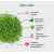 Набор для выращивания. 'Моя микрозелень': КРЕСС-САЛАТ, Цвет: зеленый, белый, изображение 2