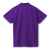 Рубашка поло мужская Spring 210, темно-фиолетовая G_1898.771, Цвет: фиолетовый, Размер: S, изображение 2