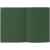 Ежедневник Flat Maxi, недатированный, зеленый G_17892.90, Цвет: зеленый, Размер: 19, изображение 3