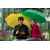 Зонт-трость Promo, зеленый, Цвет: зеленый, изображение 4