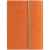 Набор Petrus Flap, оранжевый, Цвет: оранжевый, изображение 3