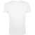 Футболка мужская приталенная Regent Fit 150, белая, размер XL, Цвет: белый, Размер: XL