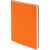 Ежедневник Flex Shall, недатированный, оранжевый G_7881.20, Цвет: оранжевый, Размер: 15х21х1