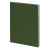 Бизнес-блокнот 'Biggy', B5 формат, зеленый, серый форзац, мягкая обложка, в клетку, Цвет: зеленый