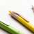 Ручка шариковая ROSDY, пластик с пшеничным волокном, зеленый, Цвет: зеленый, изображение 3