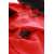 Толстовка женская Moline, красная, размер XL, Цвет: красный, Размер: XL, изображение 5