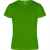 Спортивная футболка CAMIMERA мужская, ПАПАРОТНИКОВЫЙ S, Цвет: папаротниковый