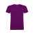 Футболка Beagle мужская, L, 655471L, Цвет: фиолетовый, Размер: L