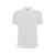 Рубашка поло Pegaso мужская, S, 660901S, Цвет: белый, Размер: S
