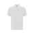 Рубашка поло Centauro Premium мужская, S, 660701S, Цвет: белый, Размер: S
