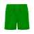 Плавательные шорты Aqua, мужские, 2XL, 6716BN2262XL, Цвет: зеленый, Размер: 2XL
