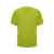 Рубашка Ferox, мужская, L, 9085CA28L, Цвет: фисташковый, Размер: L