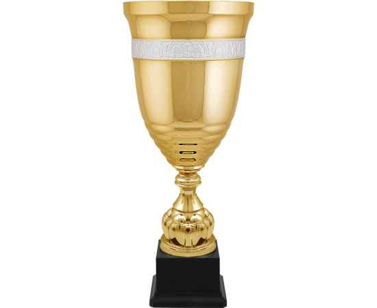 8620-121 Кубок Ричард, золото, Цвет: Золото, изображение 2