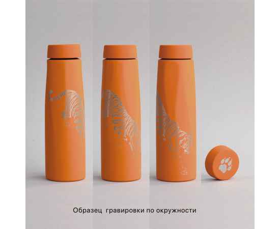 , изображение 4