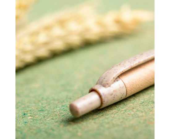 , изображение 3